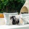 Windblown Black Horse Design by Irena Orlov Outdoor Printed Pillow